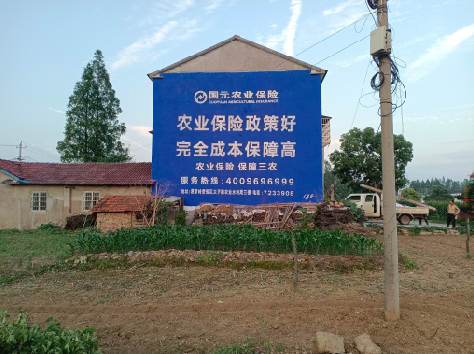 韶山墙体广告为何受追捧？